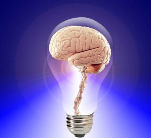 brain-bulb